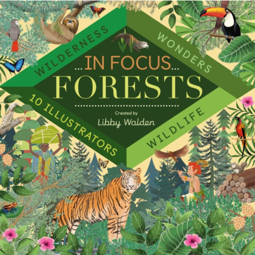 Little Tiger Press Group In Focus: Forests (inbunden, eng)