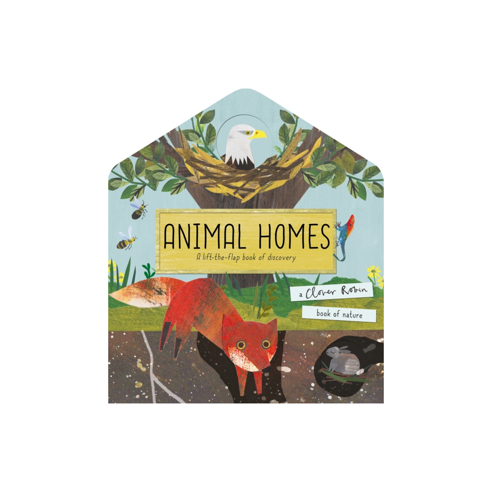 Produktbild för Animal Homes (bok, board book, eng)