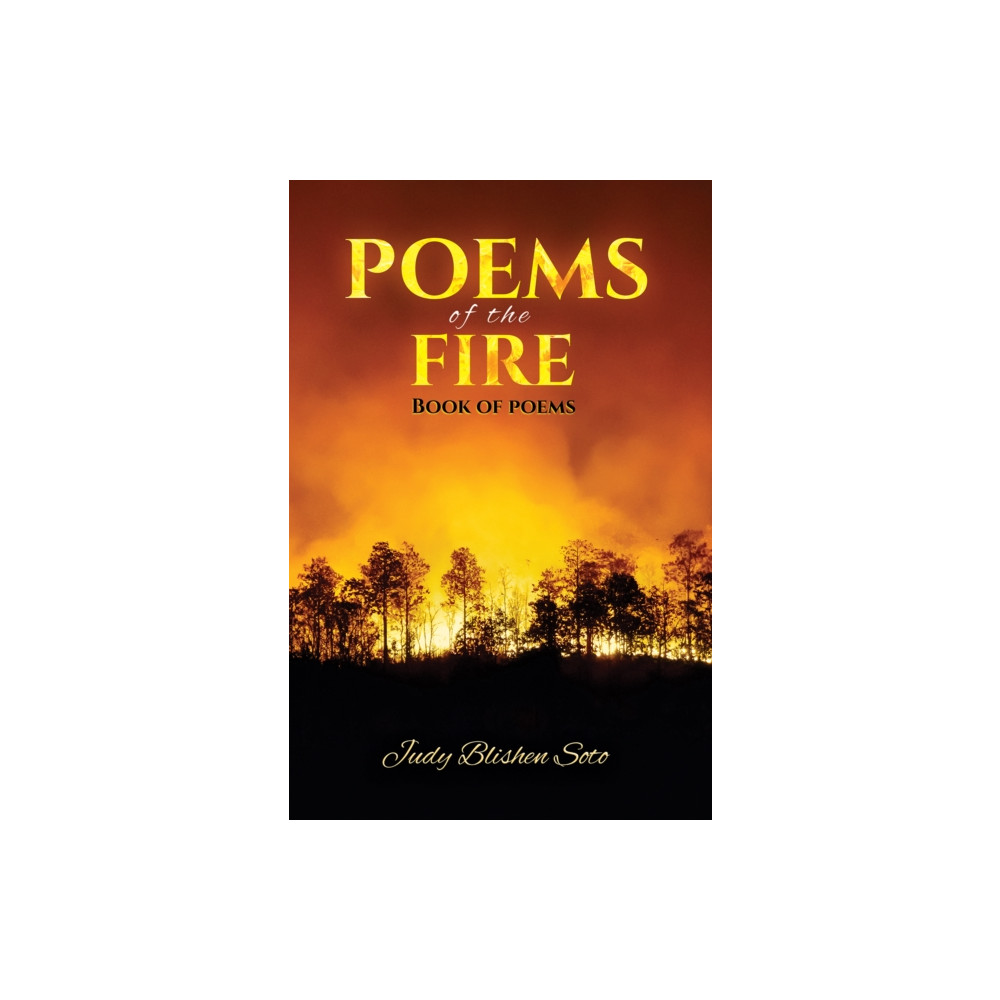 Produktbild för Poems of the Fire (häftad, eng)