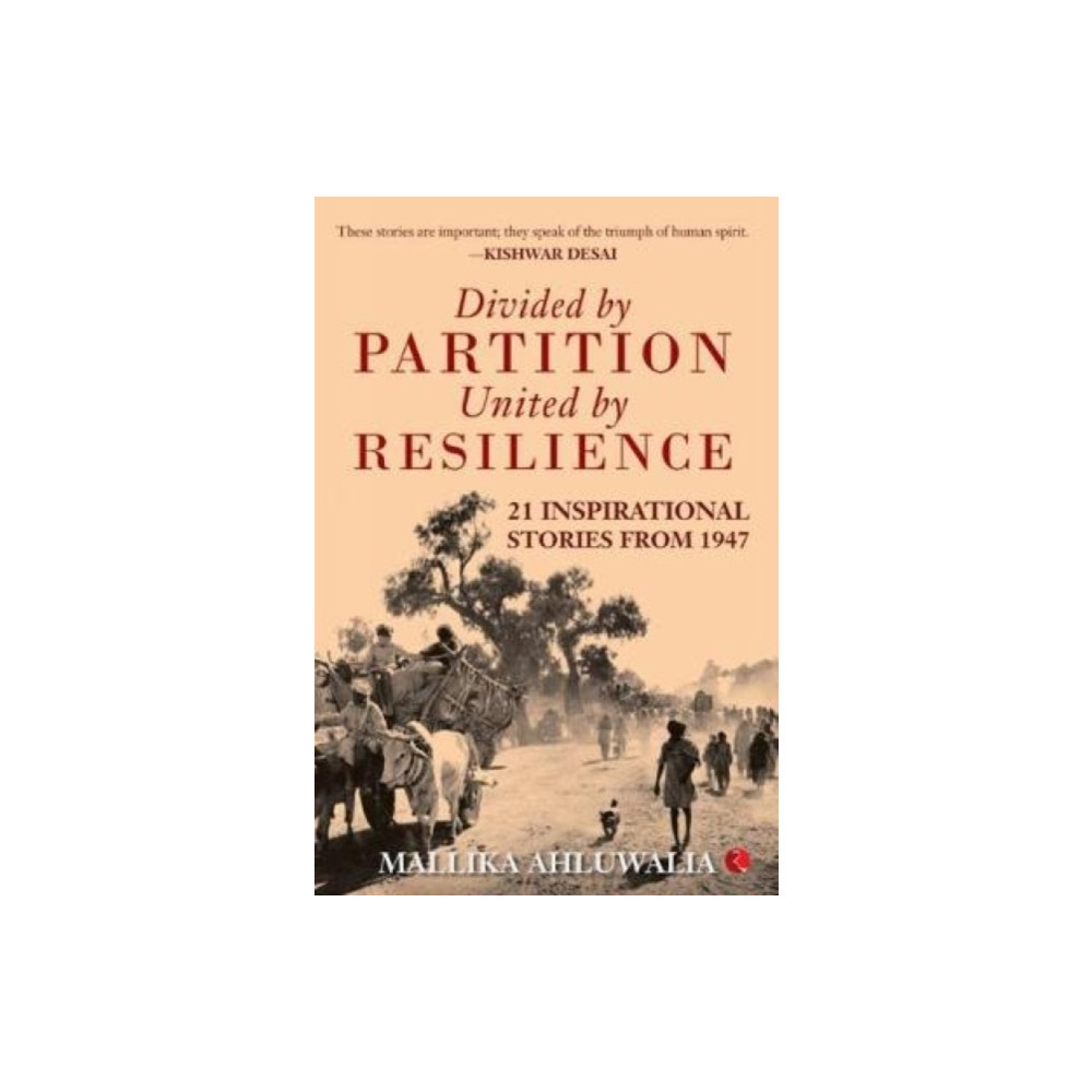 Produktbild för Divided by Partition (häftad, eng)