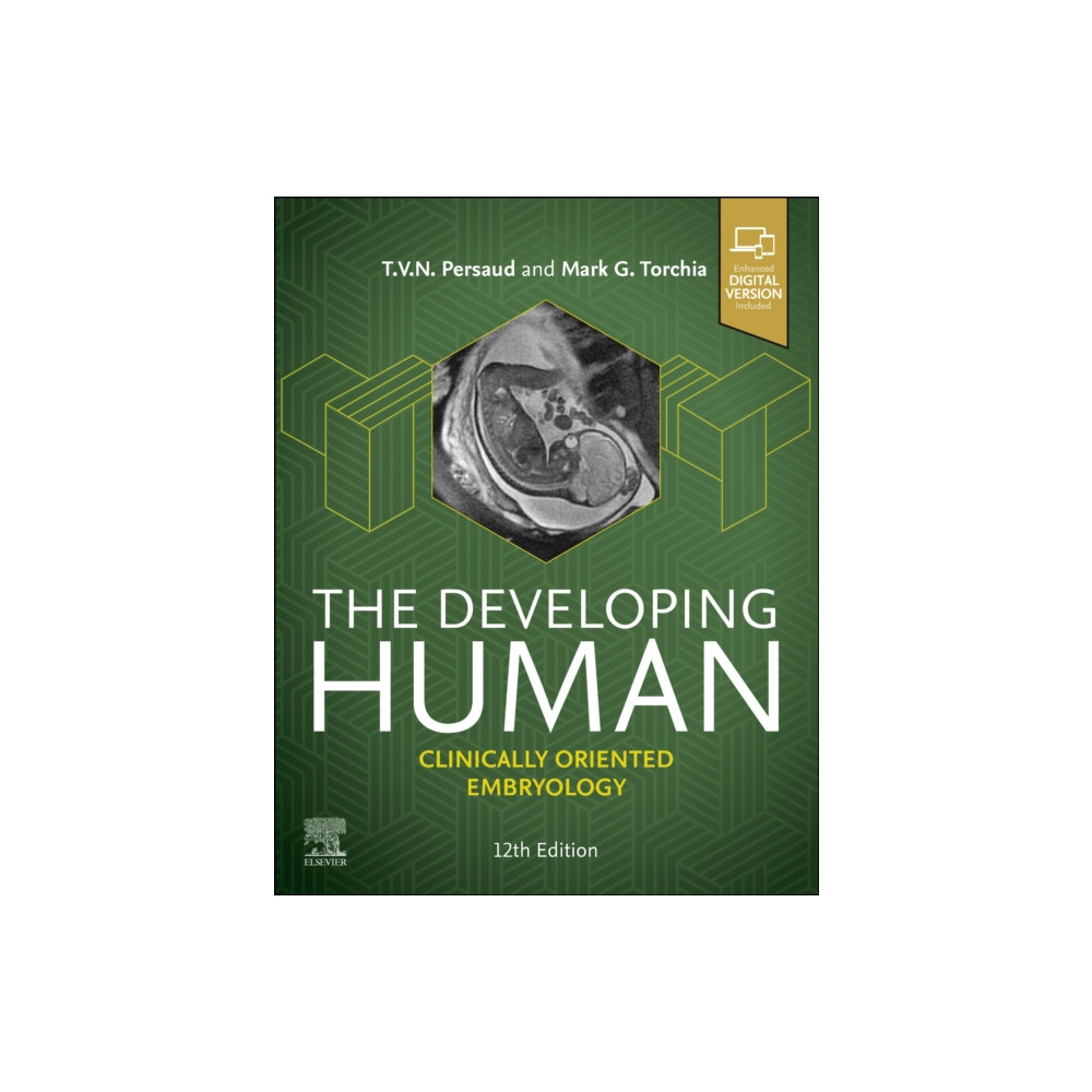 Produktbild för The Developing Human (häftad, eng)