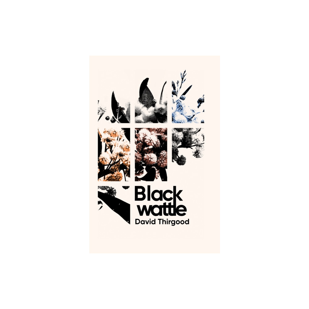 Produktbild för Blackwattle (häftad, eng)
