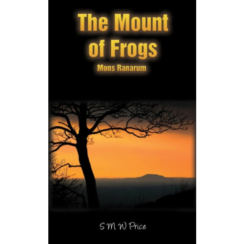 Austin Macauley Publishers The Mount of Frogs (häftad, eng)