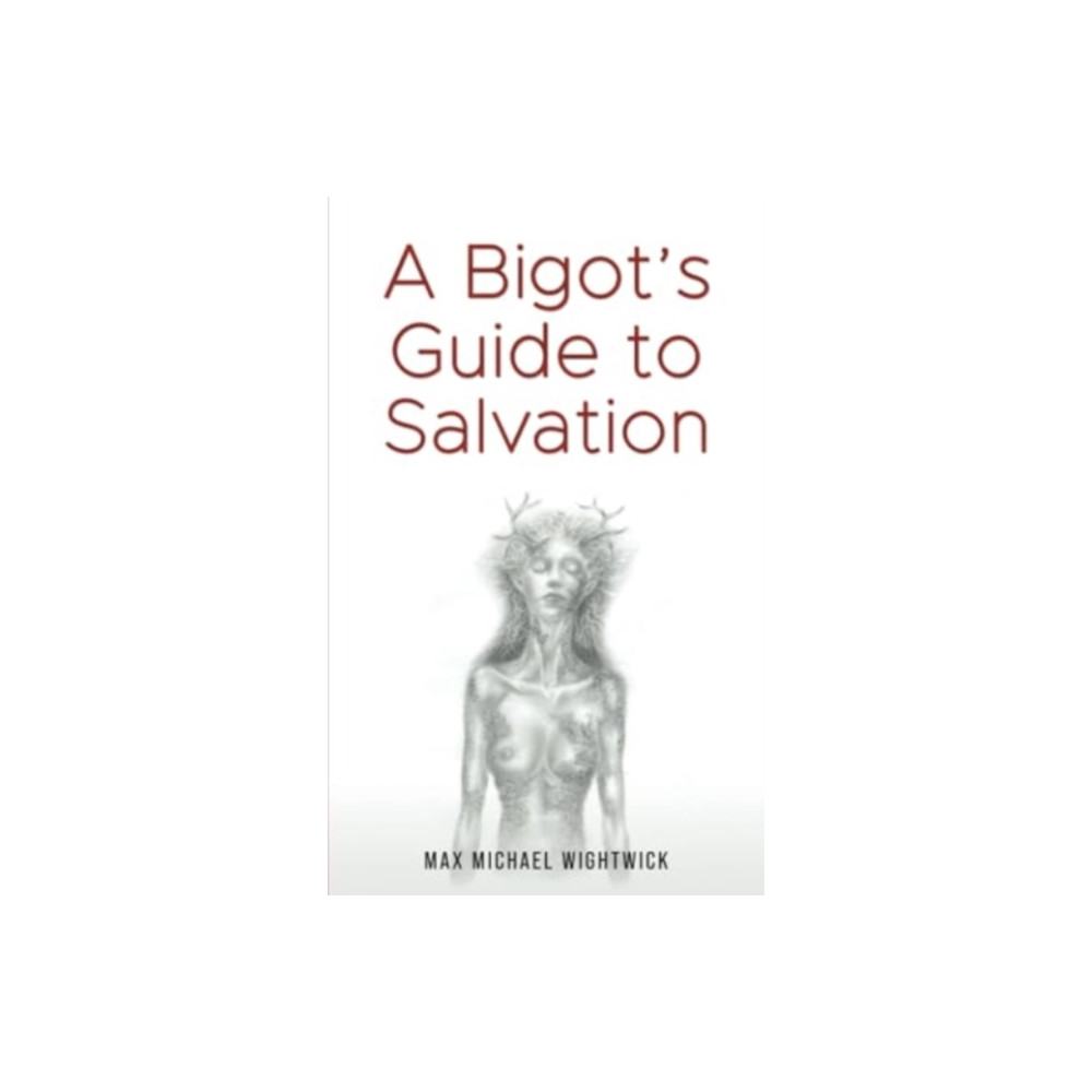 Produktbild för A Bigot's Guide to Salvation (häftad, eng)