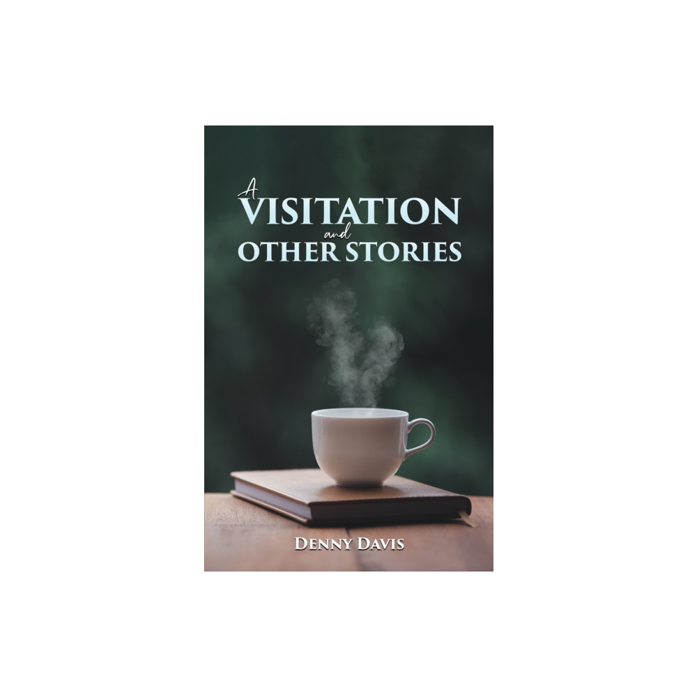Produktbild för A Visitation and Other Stories (häftad, eng)