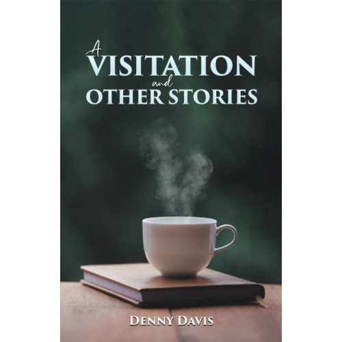 Austin Macauley Publishers A Visitation and Other Stories (häftad, eng)