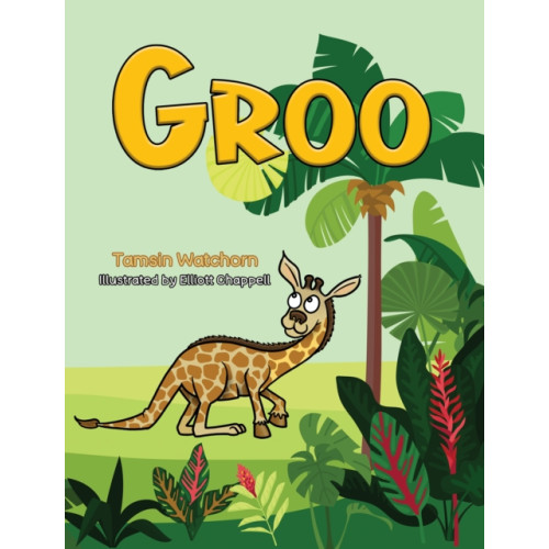 Austin Macauley Publishers Groo (häftad, eng)