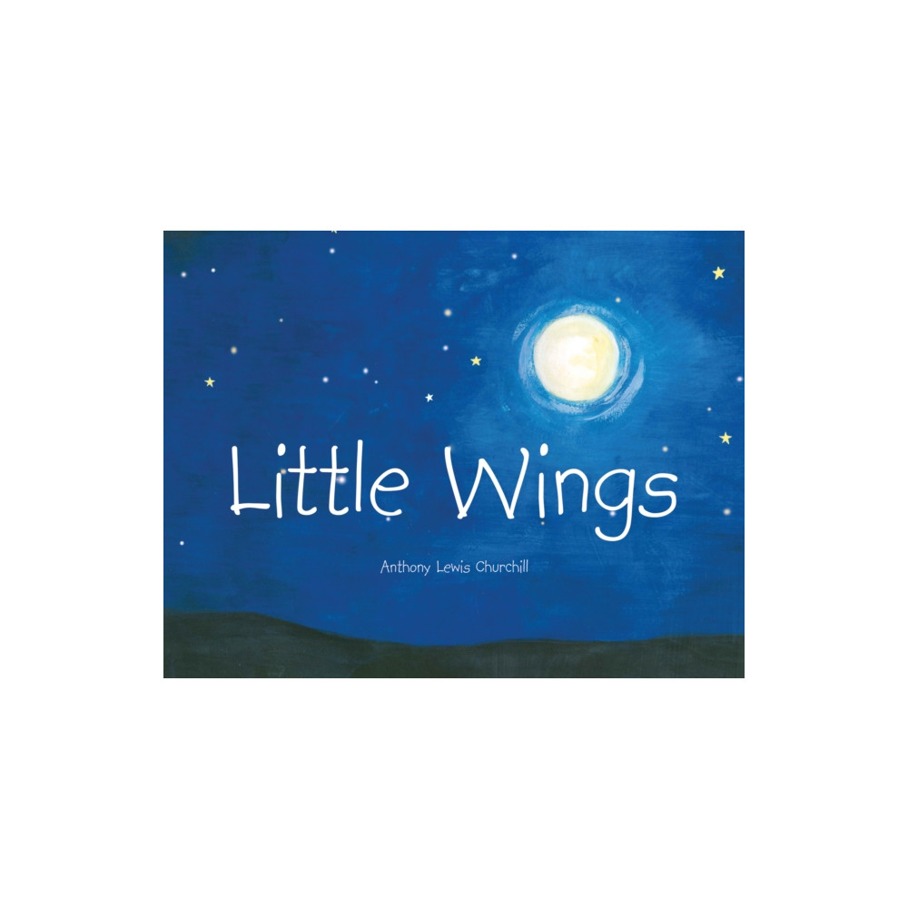 Produktbild för Little Wings (häftad, eng)