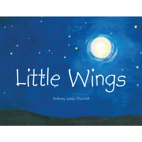 Austin Macauley Publishers Little Wings (häftad, eng)