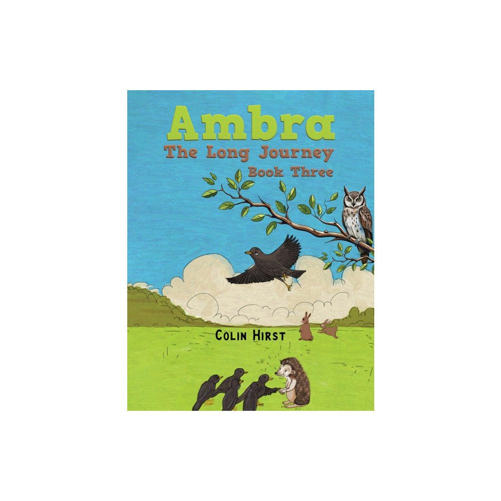 Produktbild för Ambra: The Long Journey (häftad, eng)
