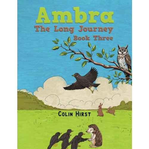 Austin Macauley Publishers Ambra: The Long Journey (häftad, eng)