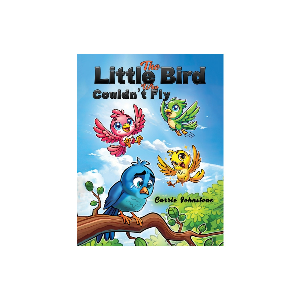 Produktbild för The Little Bird Who Couldn't Fly (häftad, eng)