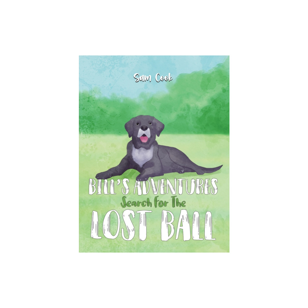 Produktbild för Bill’s Adventures: Search for the Lost Ball (häftad, eng)