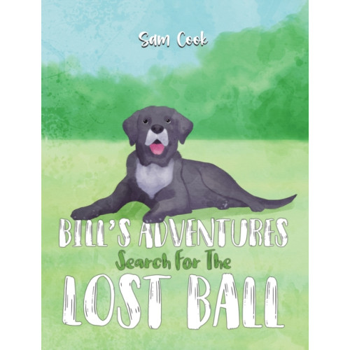 Austin Macauley Publishers Bill’s Adventures: Search for the Lost Ball (häftad, eng)