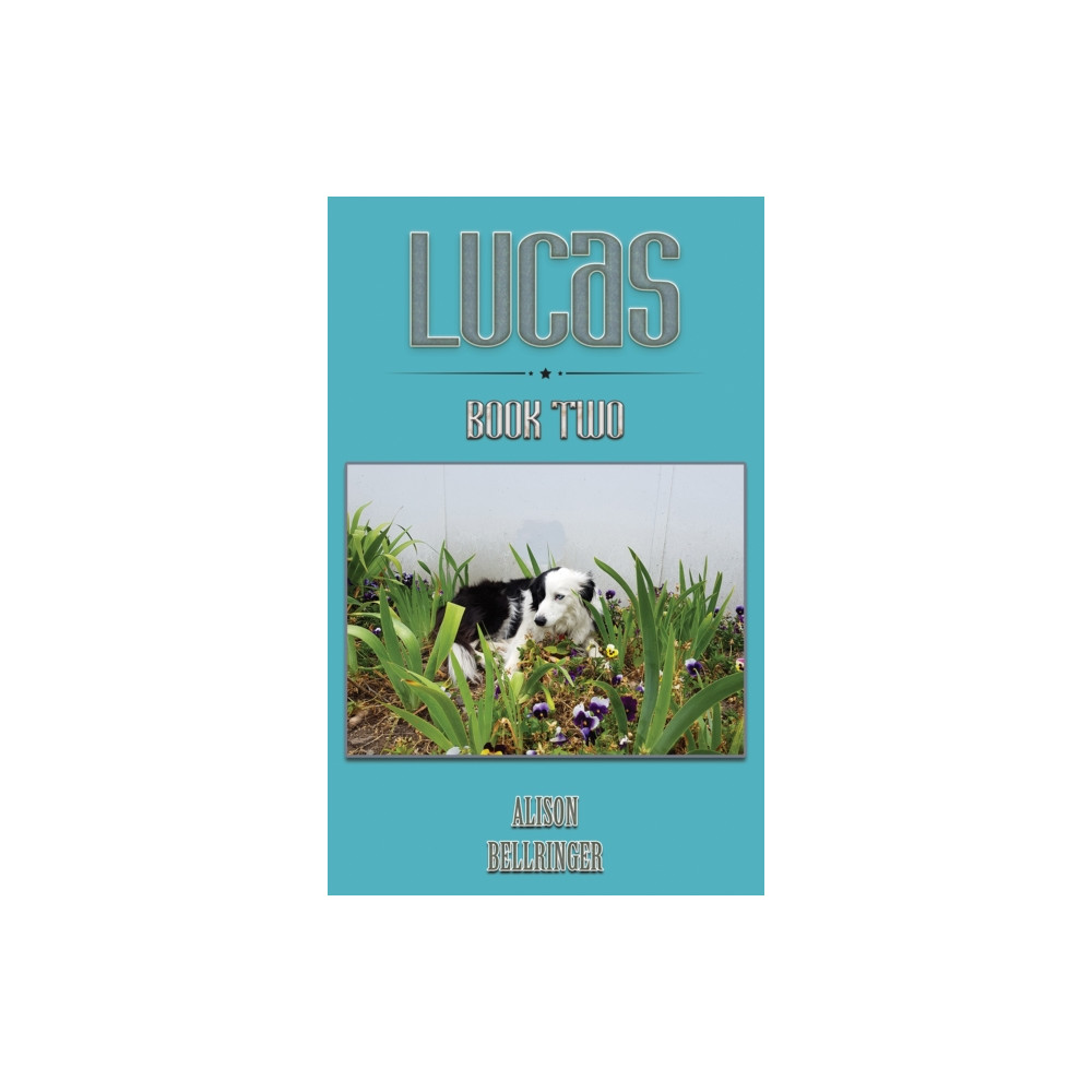 Produktbild för Lucas (häftad, eng)