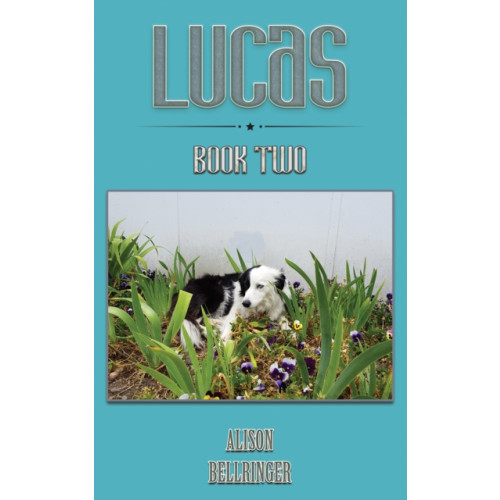 Austin Macauley Publishers Lucas (häftad, eng)