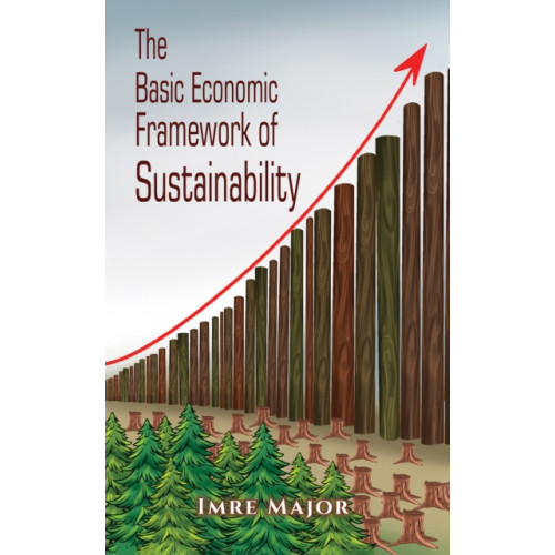 Austin Macauley Publishers The Basic Economic Framework of Sustainability (häftad, eng)