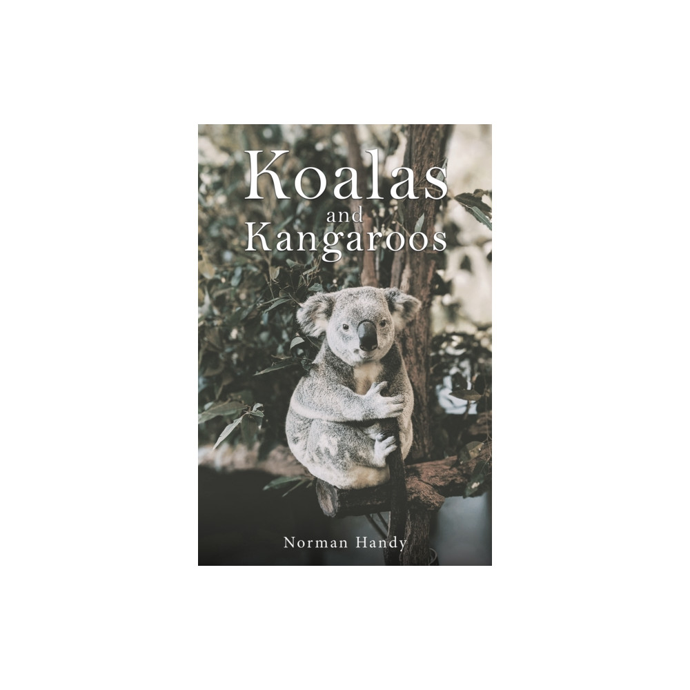 Produktbild för Koalas and Kangaroos (häftad, eng)