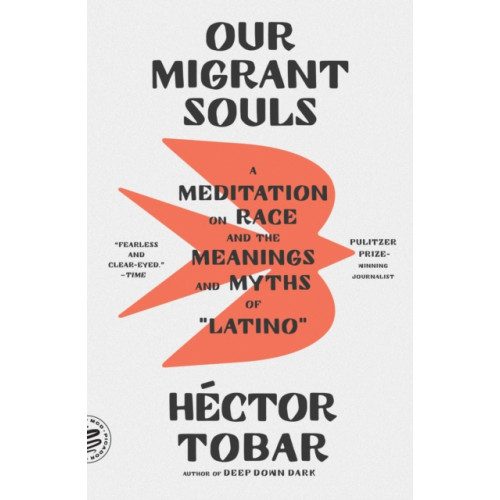 PICADOR Our Migrant Souls (häftad, eng)