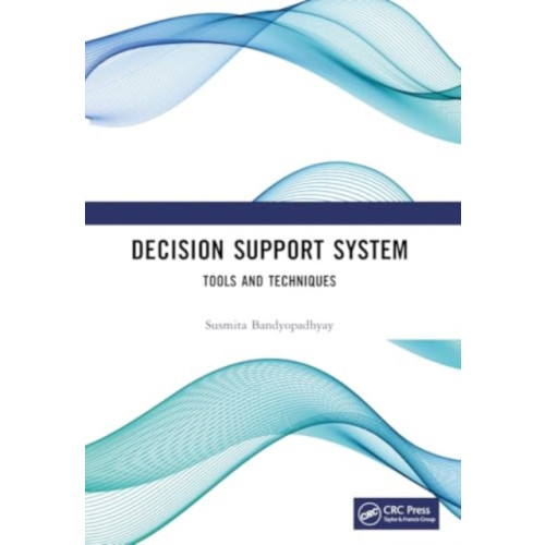 Taylor & francis ltd Decision Support System (häftad, eng)