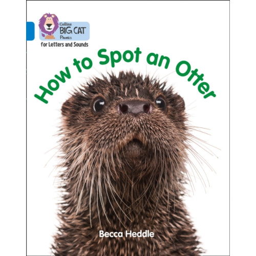 HarperCollins Publishers How to Spot an Otter (häftad, eng)