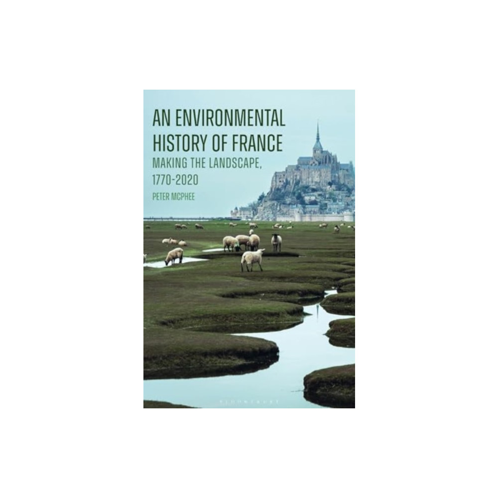 Produktbild för An Environmental History of France (häftad, eng)