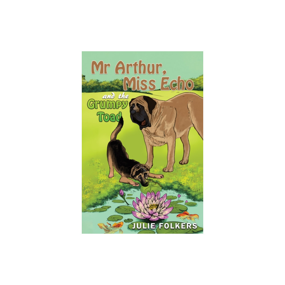 Produktbild för Mr Arthur, Miss Echo and the Grumpy Toad (häftad, eng)