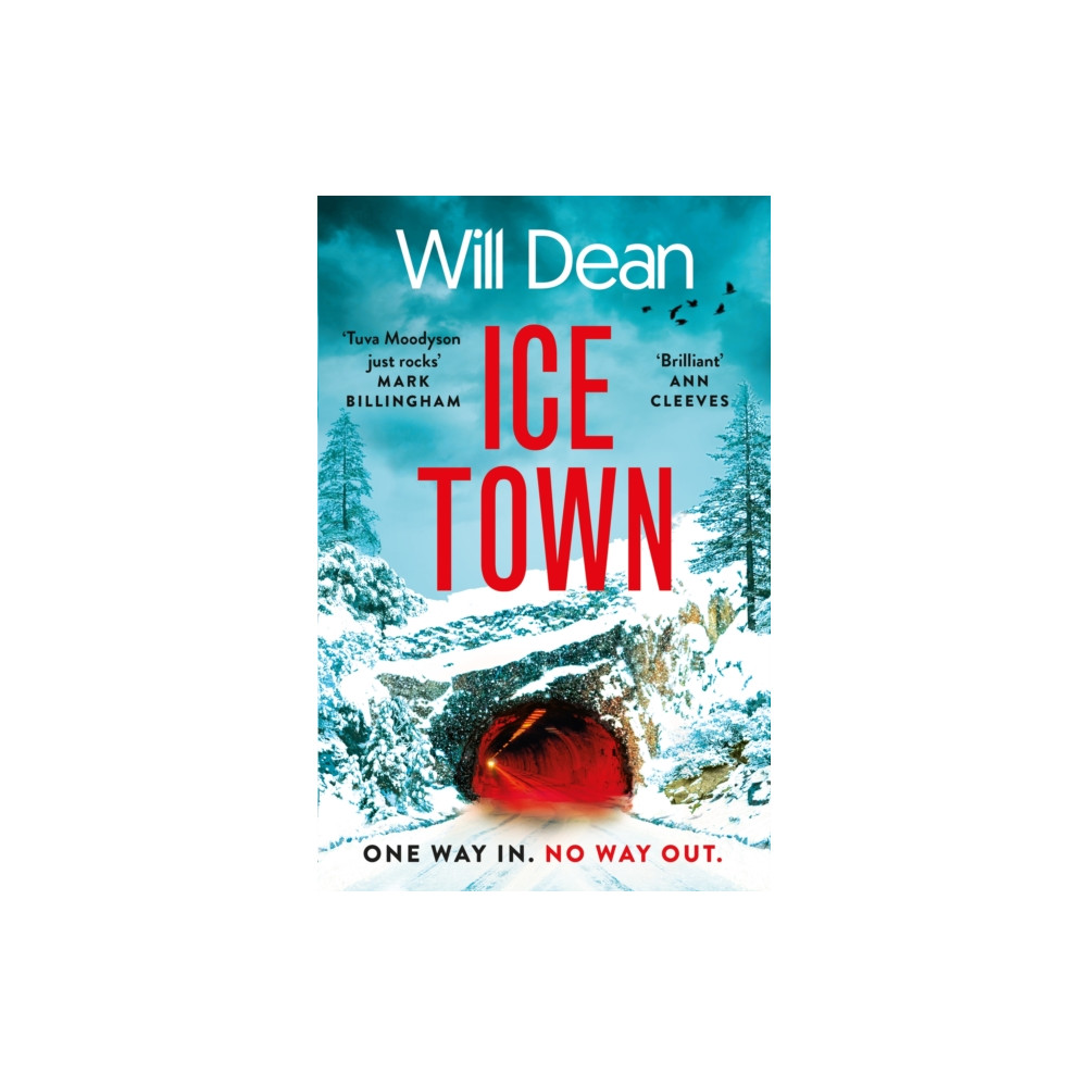 Produktbild för Ice Town (inbunden, eng)