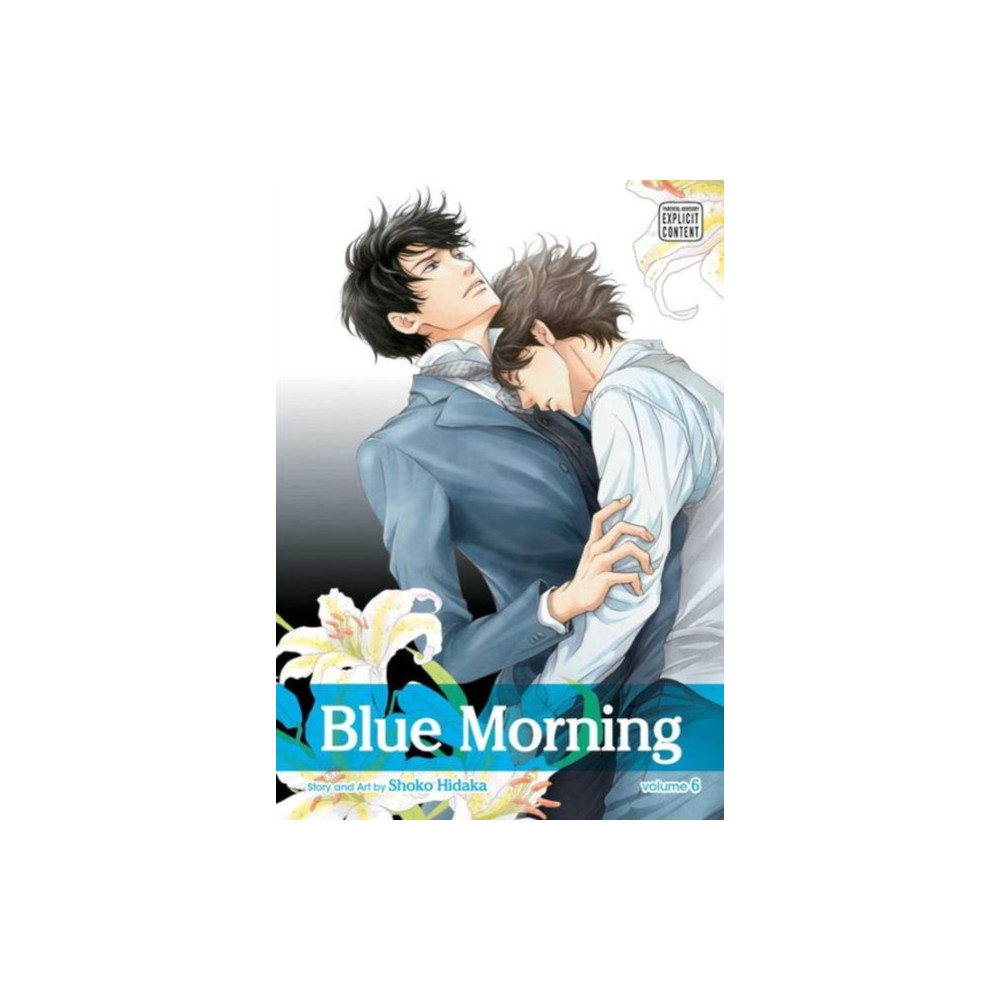 Produktbild för Blue Morning, Vol. 6 (häftad, eng)