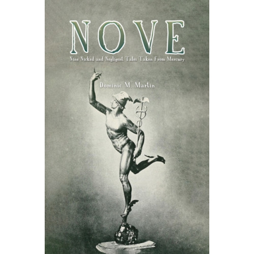 Austin Macauley Publishers LLC Nove (häftad, eng)