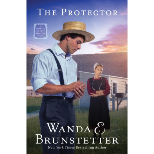 Barbour Fiction The Protector (häftad, eng)