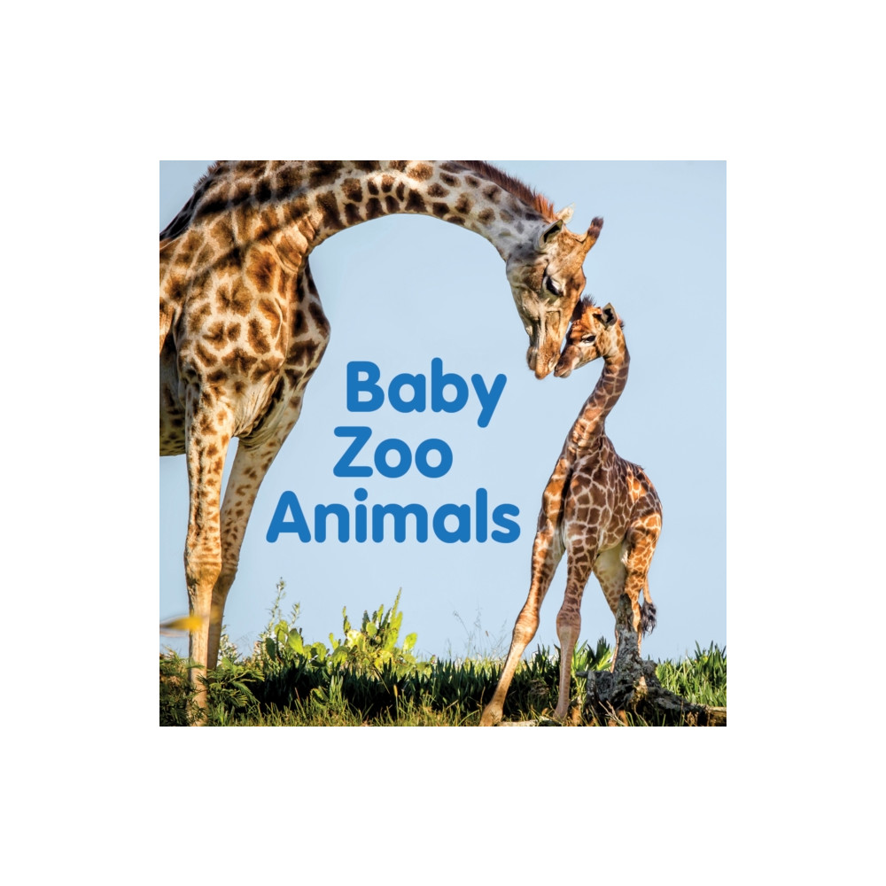 Produktbild för Baby Zoo Animals (bok, board book, eng)