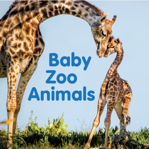New Holland Publishers Baby Zoo Animals (bok, board book, eng)