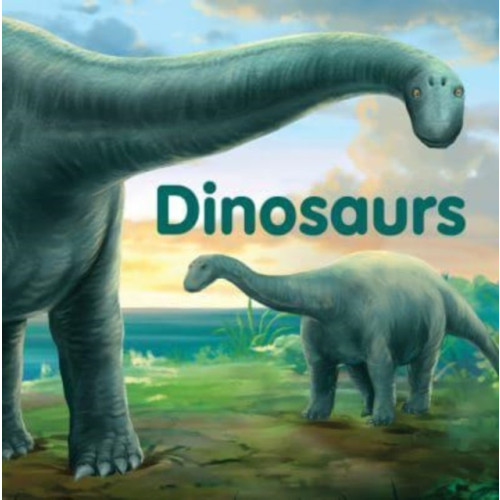New Holland Publishers Dinosaurs (bok, board book, eng)