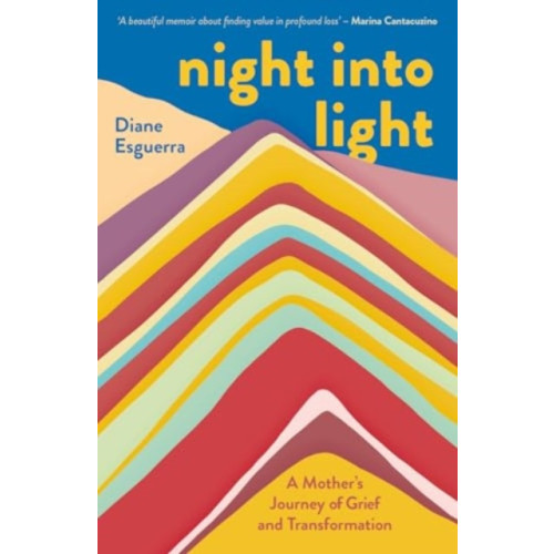 Eye Books Night Into Light (häftad, eng)