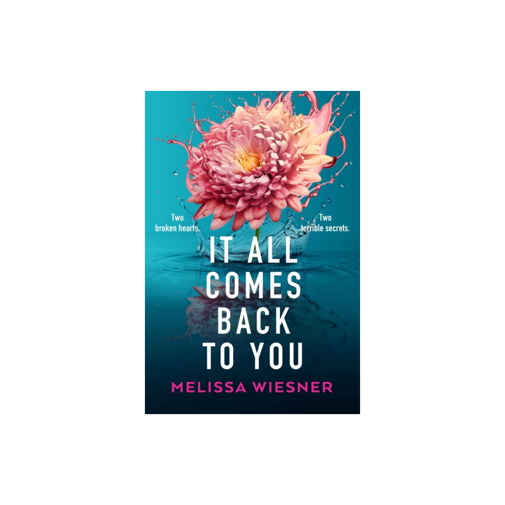 Produktbild för It All Comes Back to You (häftad, eng)