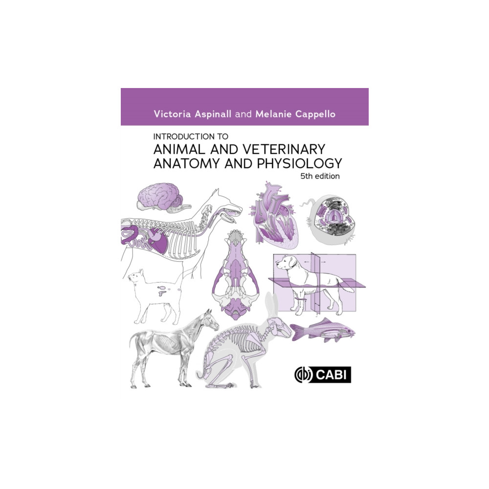 Produktbild för Introduction to Animal and Veterinary Anatomy and Physiology (häftad, eng)