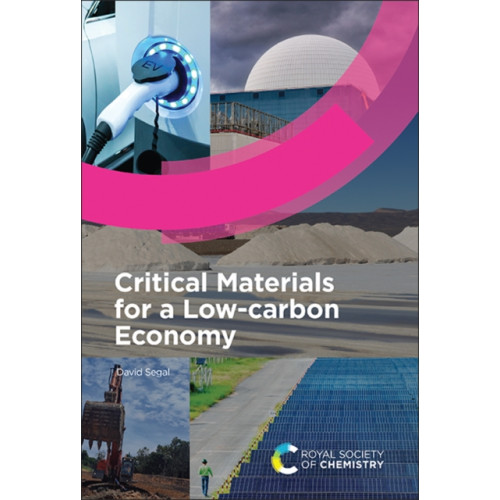 Royal Society of Chemistry Critical Materials for a Low-carbon Economy (inbunden, eng)