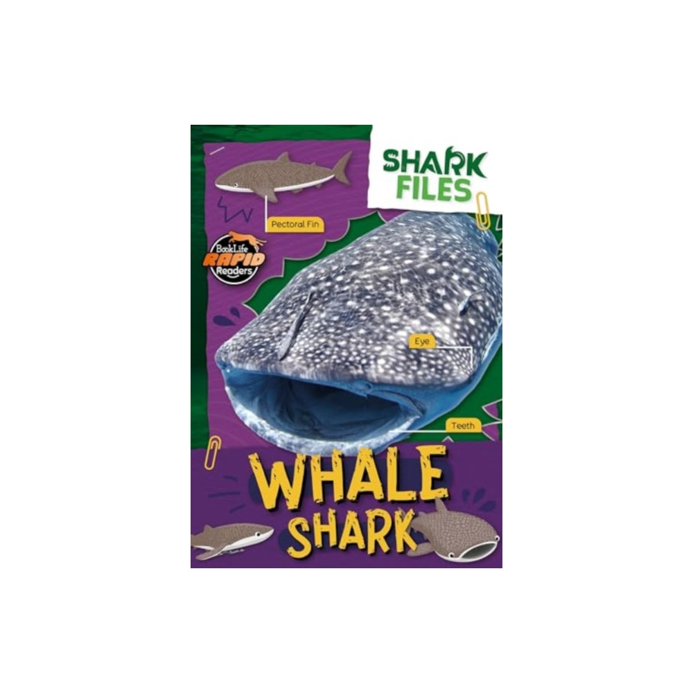 Produktbild för Whale Shark (häftad, eng)
