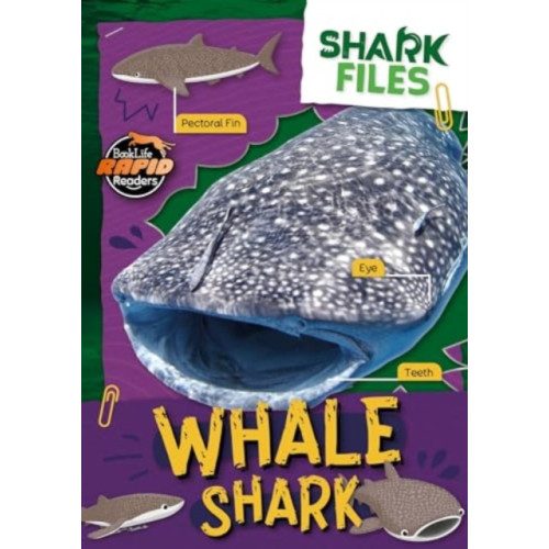 BookLife Publishing Whale Shark (häftad, eng)