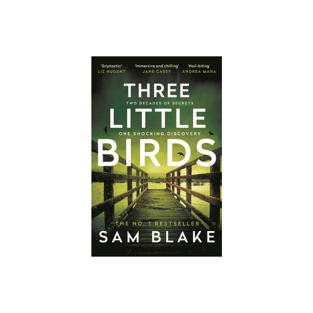 Produktbild för Three Little Birds (häftad, eng)