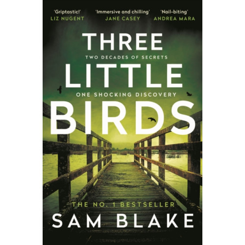 Atlantic Books Three Little Birds (häftad, eng)