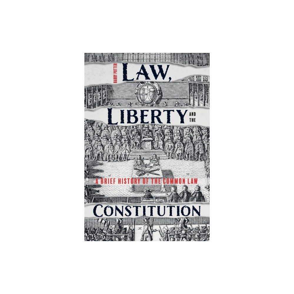 Produktbild för Law, Liberty and the Constitution (häftad, eng)