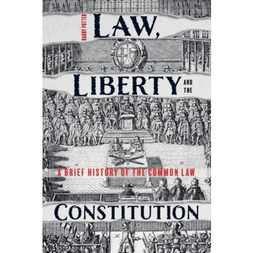 Boydell & Brewer Ltd Law, Liberty and the Constitution (häftad, eng)