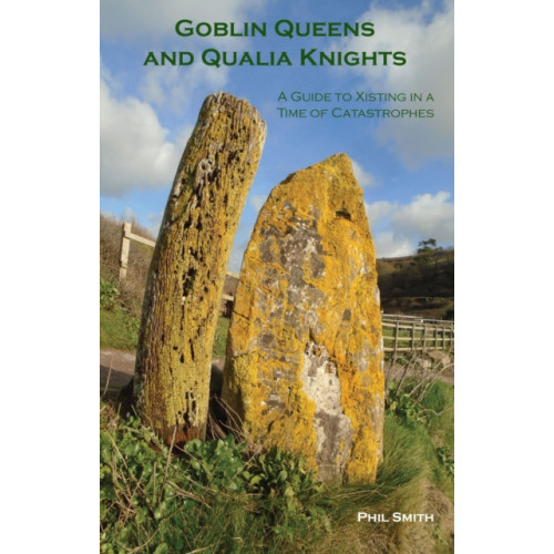 Triarchy Press Goblin Queens and Qualia Knights (häftad, eng)