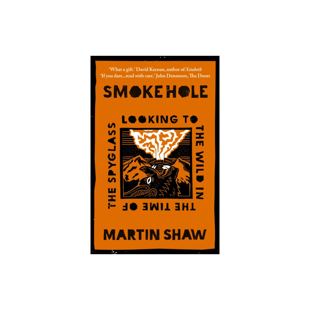 Produktbild för Smoke Hole (häftad, eng)