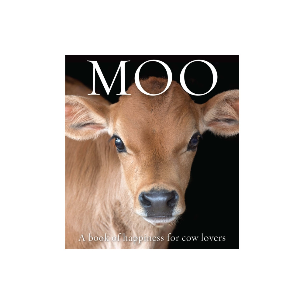 Produktbild för Moo (häftad, eng)