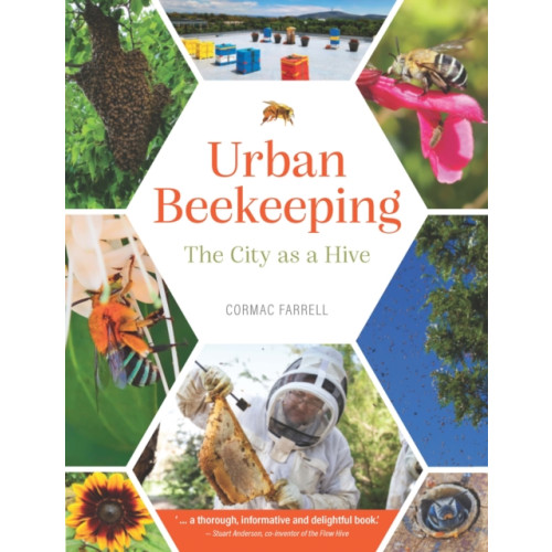 Exisle Publishing Urban Beekeeping (inbunden, eng)