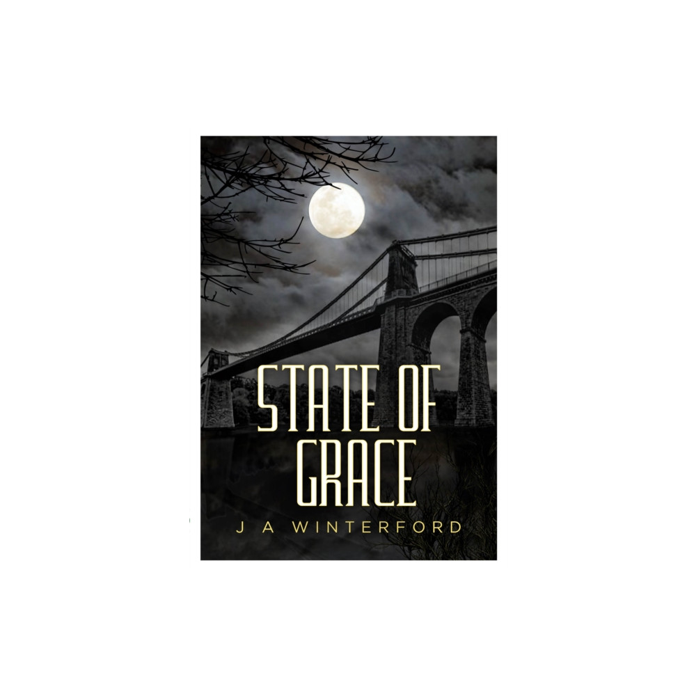 Produktbild för State of Grace (häftad, eng)
