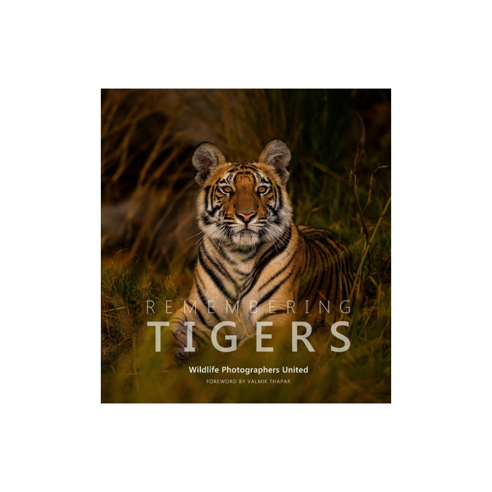 Produktbild för Remembering Tigers (inbunden, eng)